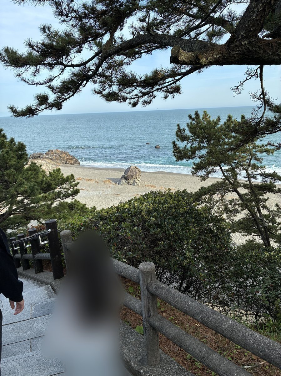 松の木々の間から桂浜の美しい海岸線と青い海が見える。砂浜には大きな岩が点在し、波が打ち寄せている。