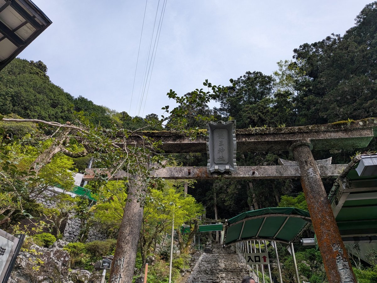 鬱蒼とした木々に囲まれた苔むした石造りの鳥居。その先には上へと続く石段が見え、神秘的な雰囲気を感じさせる参道入口。