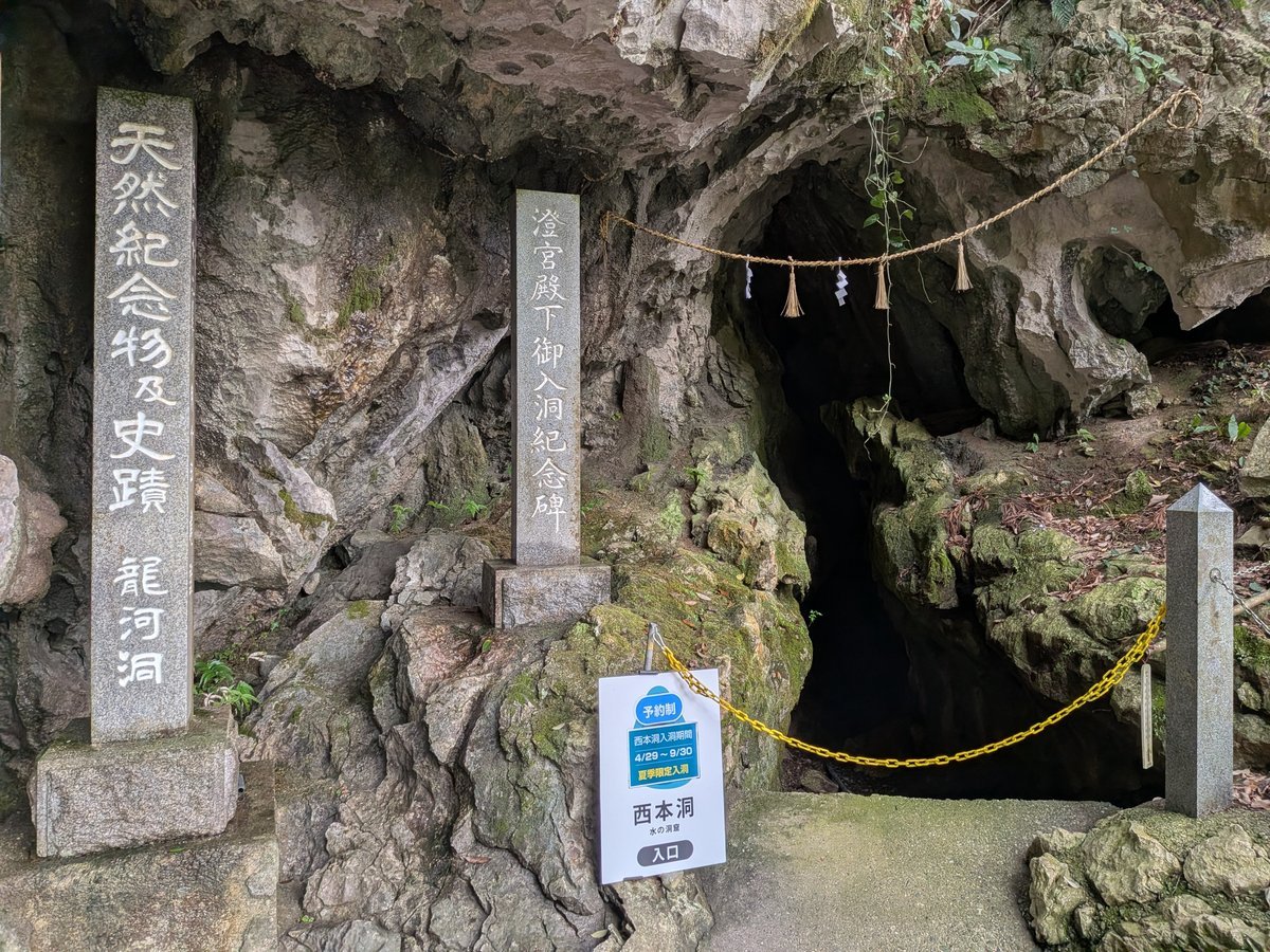 龍河洞の入り口を示す「天然記念物及史蹟 龍河洞」の石碑が立つ。注連縄が張られた洞窟の入り口からは、神秘的な地底世界への期待が高まる。