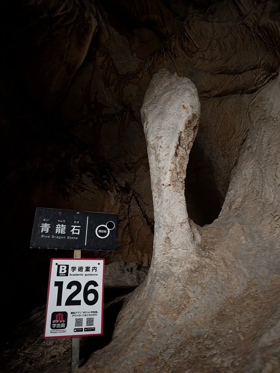 鍾乳洞内にそびえ立つ、白く巨大な「青龍石」。自然が作り出した壮大な造形美に圧倒される。