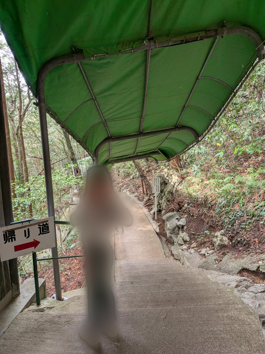 鍾乳洞から地上に出た後の帰り道。緑豊かな木々に囲まれ、屋根付きの通路が続く。
