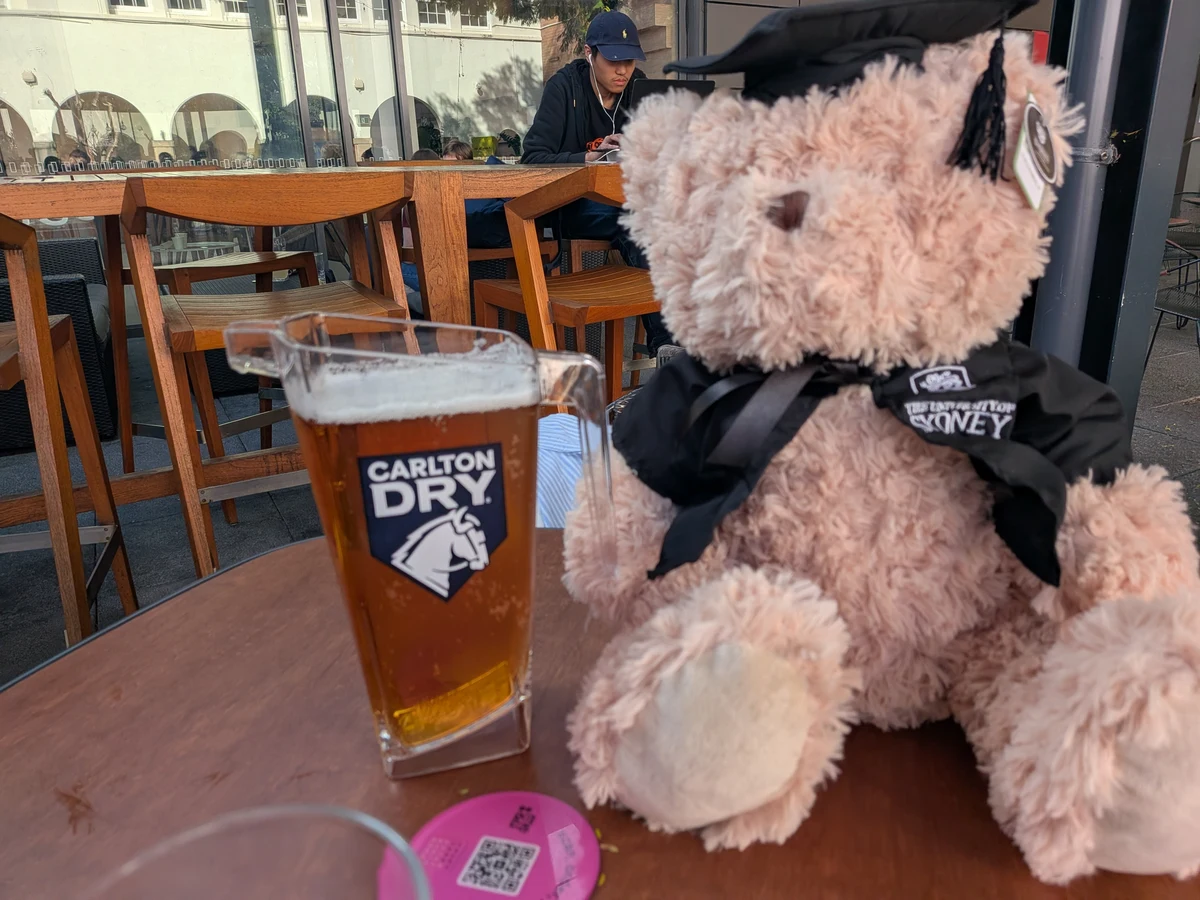 テーブルに並んだビールのジャグと、シドニー大学の卒業ガウンと角帽を着けたテディベアのぬいぐるみ