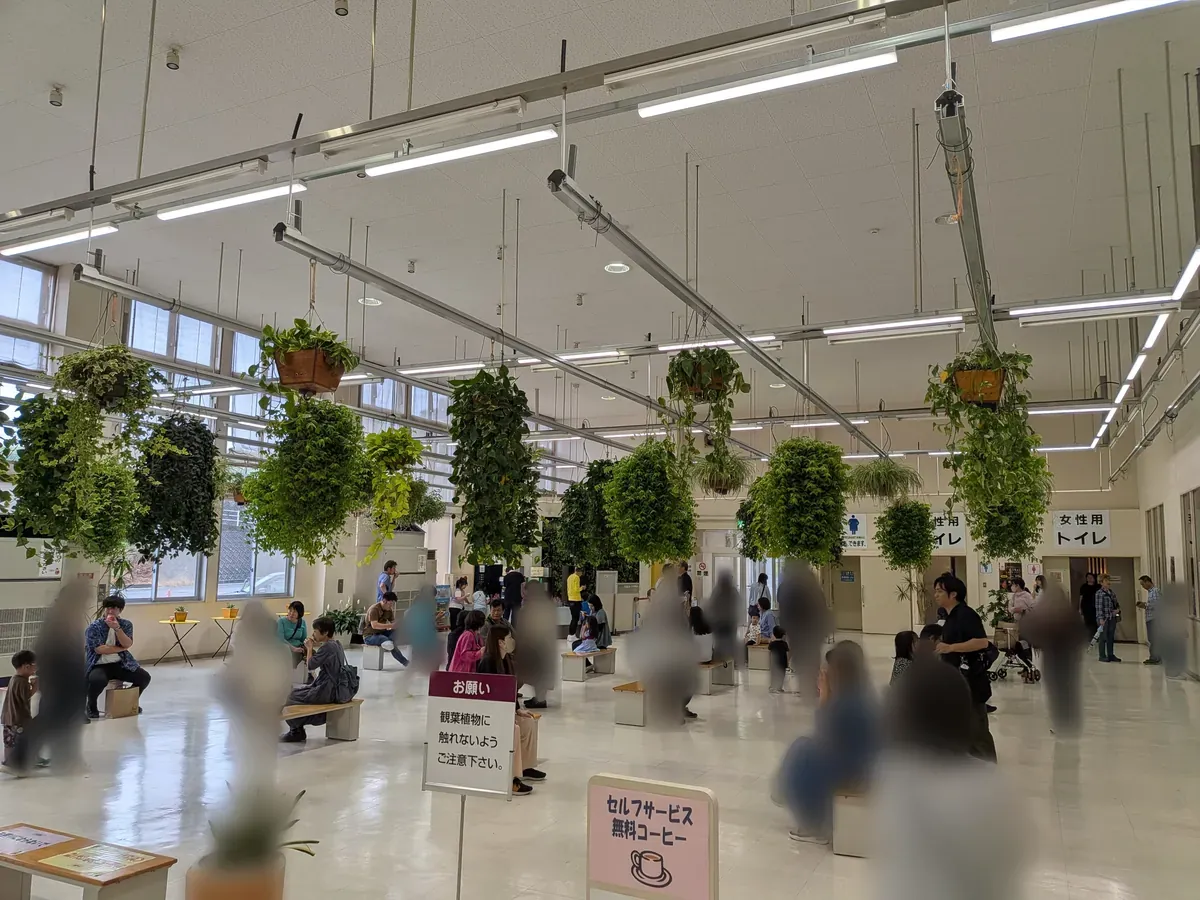 観葉植物が吊り下げられた明るい休憩スペース。セルフサービス無料コーヒーの案内