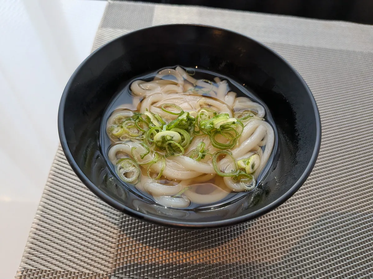 自分で茹でて作った素うどん。青ねぎが散らされている