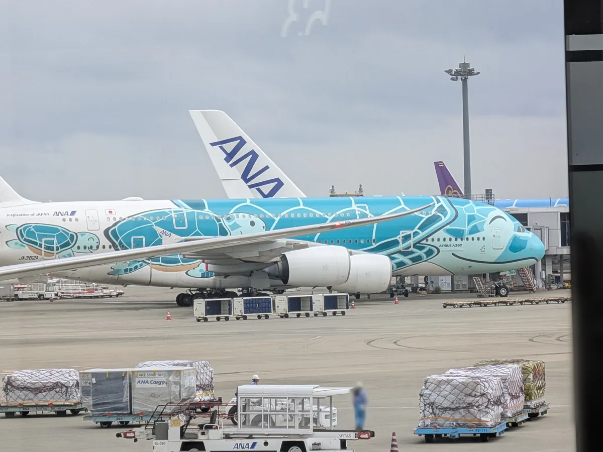 飛行場に駐機しているANAの特別塗装機「FLYING HONU」。青いウミガメのイラストが機体全体に描かれたエアバスA380型機が間近に見える。