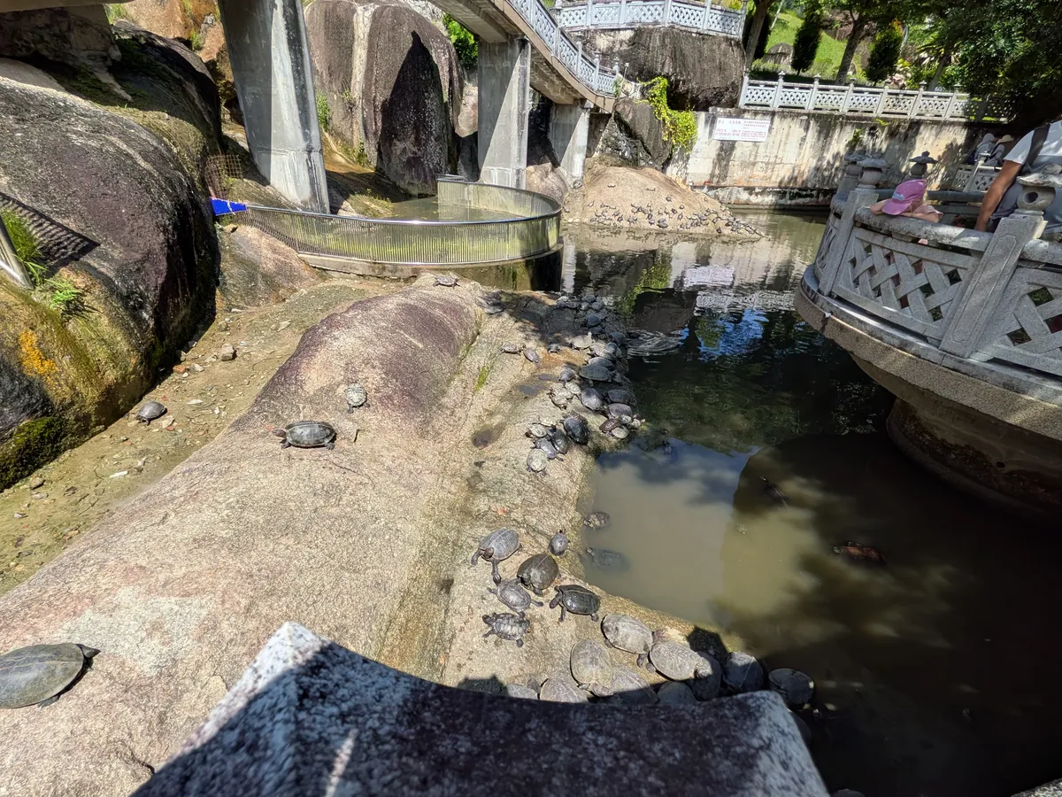 亀の池を別の角度から見たところ