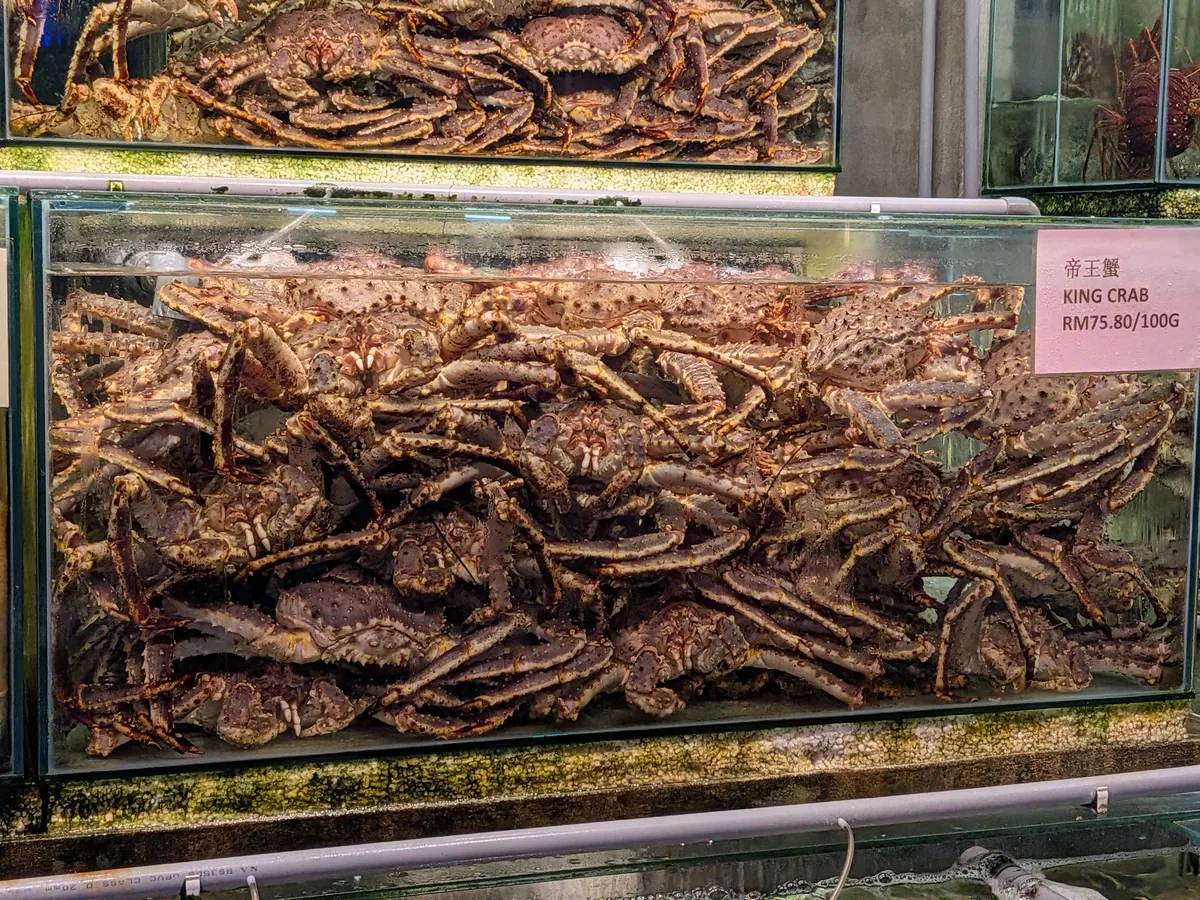 水槽にぎっしり詰まったタラバガニと、100gあたりの値札