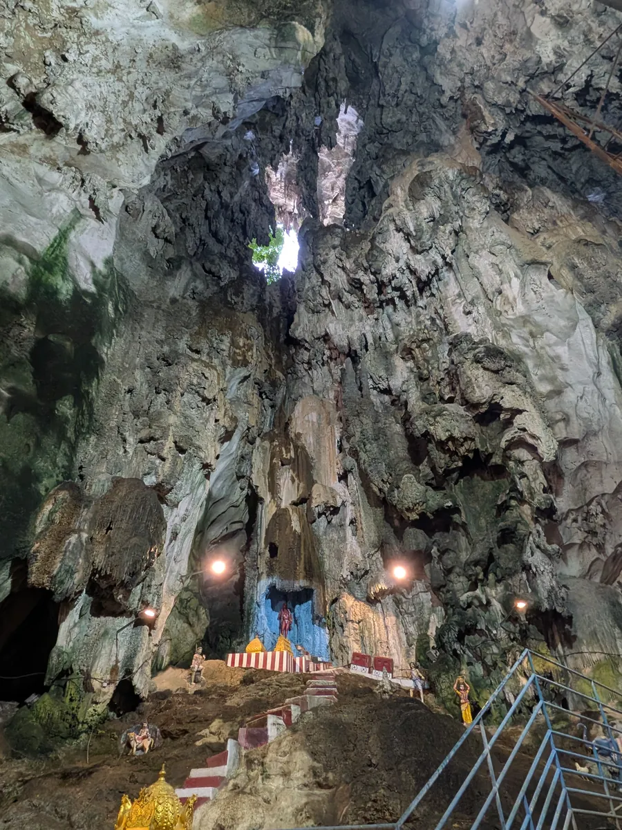 洞窟の天井に空いた穴から光が差し込み、植物が垂れ下がっている