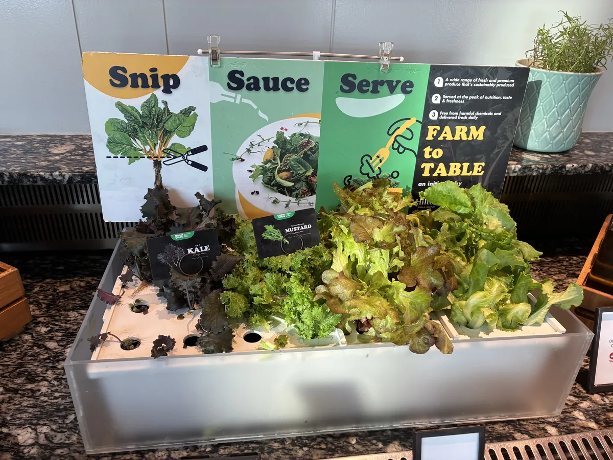 水耕栽培の葉物野菜が育つFarm to Tableのサラダバーを正面から見たところ