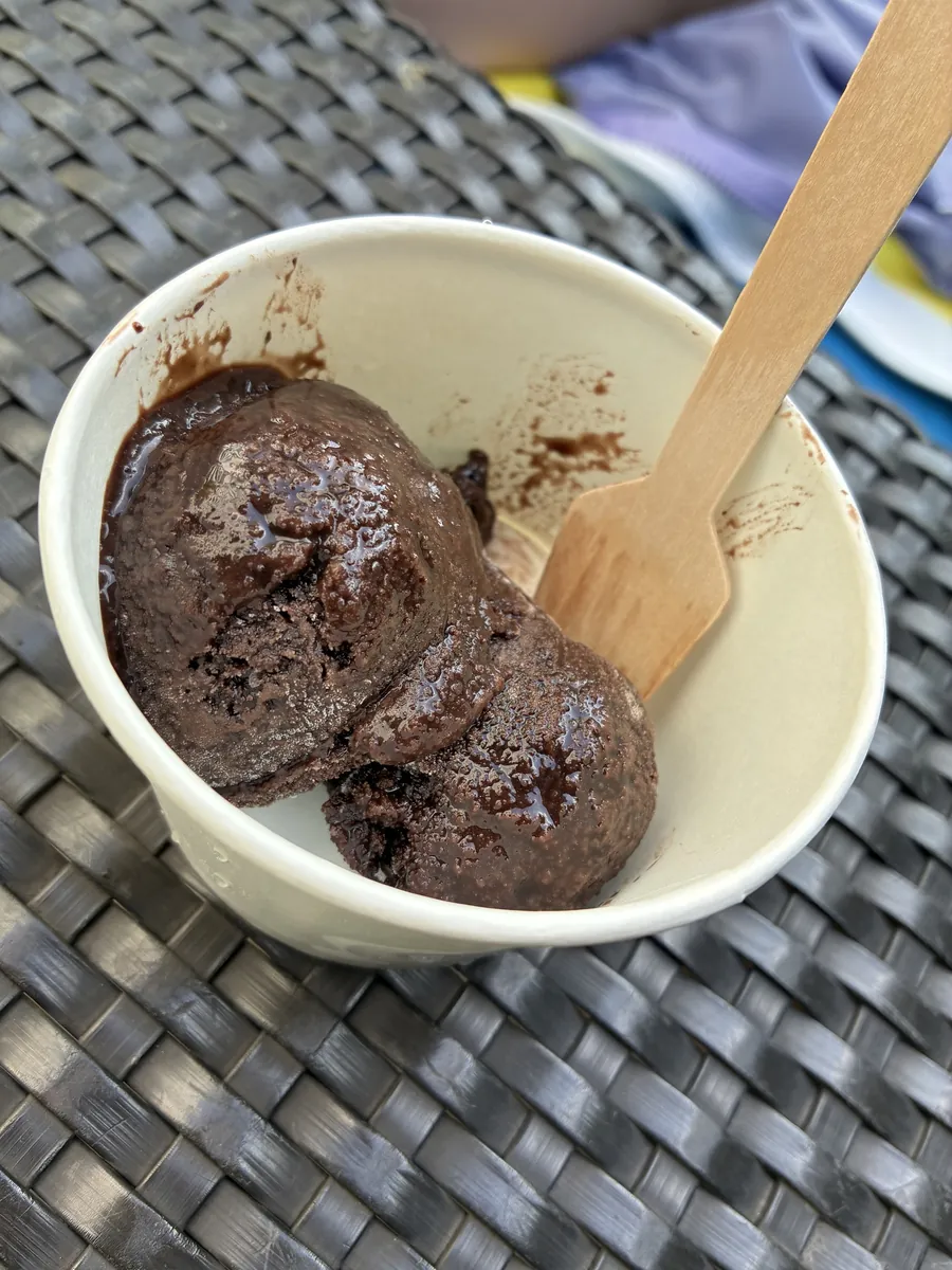 引換券で交換したLe Scoopのチョコレートアイス。木のスプーンが添えられ2すくい盛られている