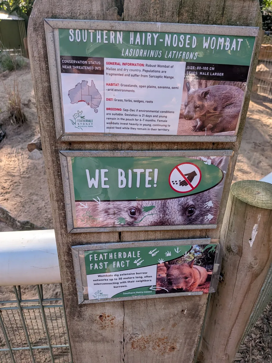 ミナミケバナウォンバットの解説板と「WE BITE!」の注意書き。巣穴が最大30メートルに達するという豆知識も掲示されている