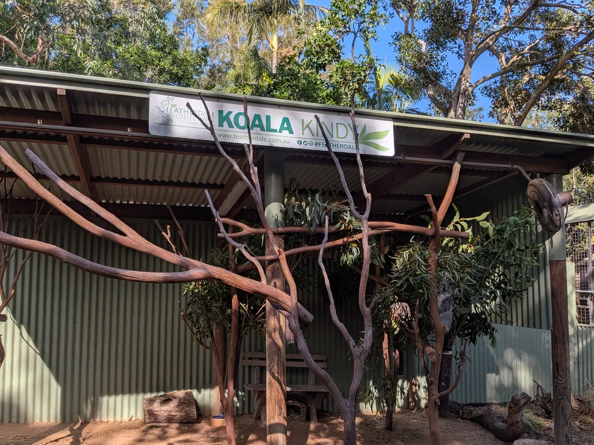 コアラの展示エリア「KOALA KINDY」の建物。屋根の下に枯れ枝を組んだ止まり木が張り巡らされ、ユーカリの枝が差してある