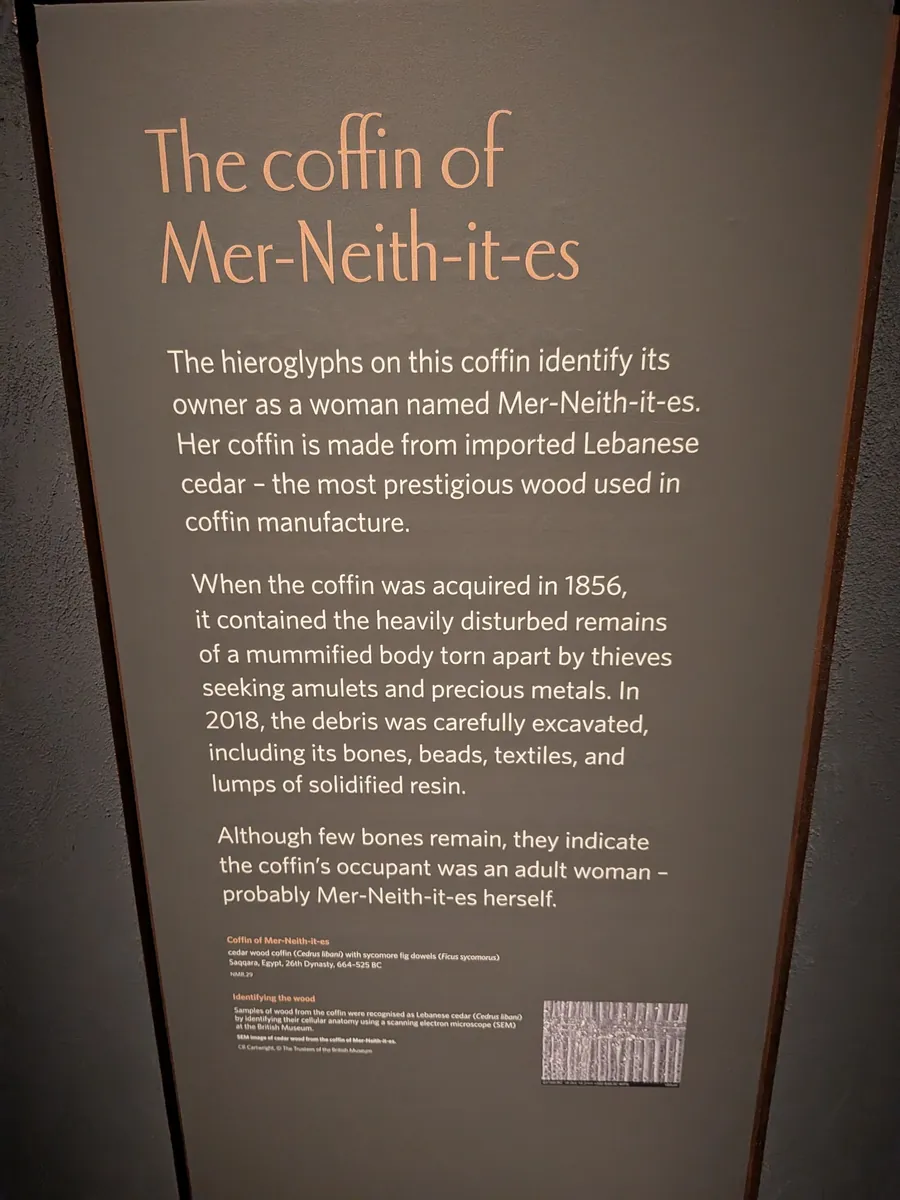 「The coffin of Mer-Neith-it-es」と題した展示解説板。棺の持ち主の女性、レバノン杉の材、1856年の取得と2018年の発掘について英語で説明されている