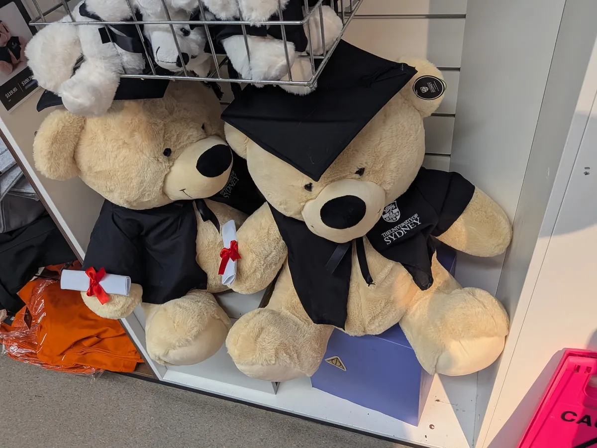 USYD Storeの店頭に積まれた卒業ガウンと角帽を着けたテディベアのぬいぐるみ。小さな卒業証書を抱えている