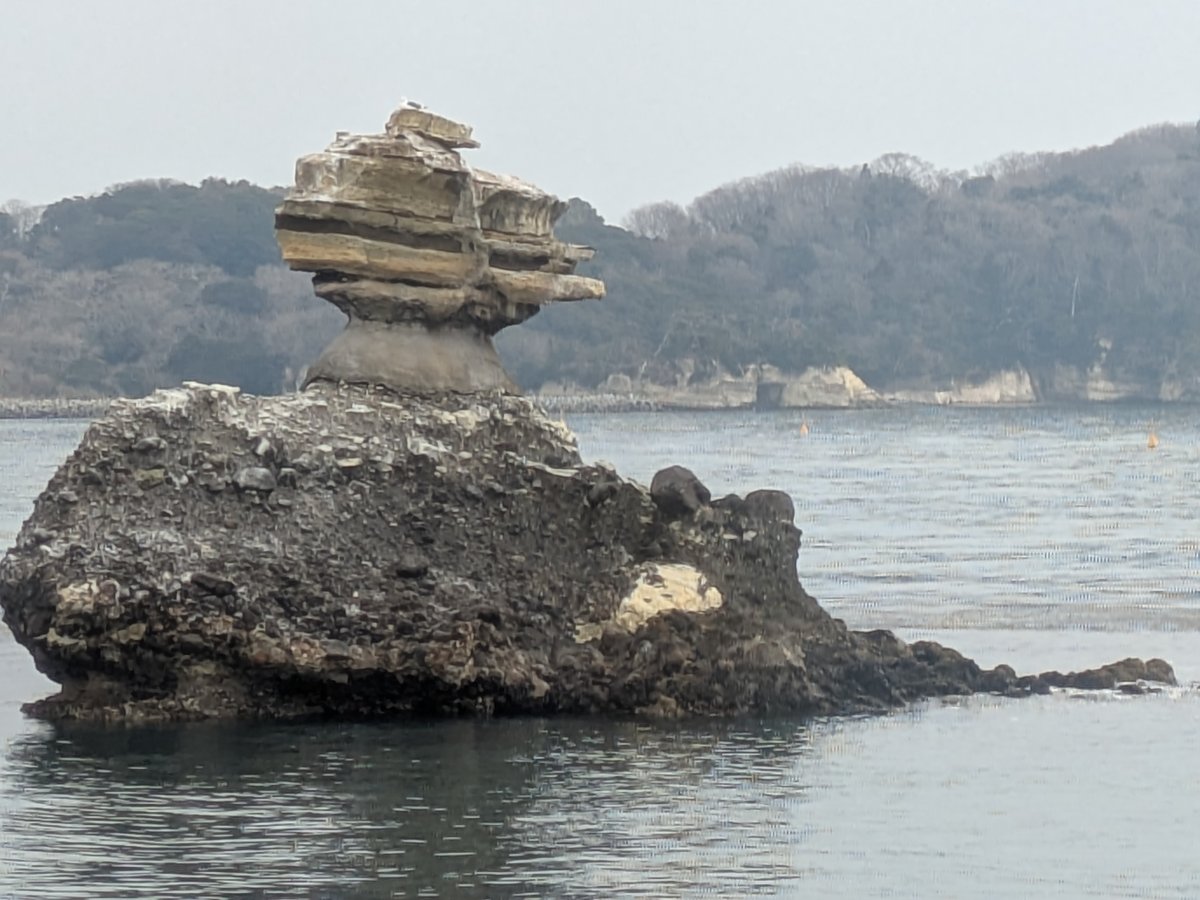 松島湾に浮かぶ、自然の造形が特徴的な奇岩のアップ