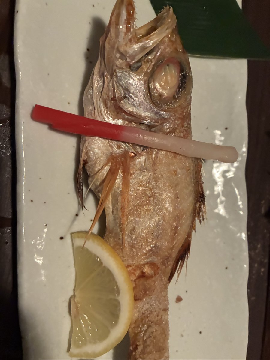 越後番屋酒場ののどぐろ塩焼き。一匹まるごと焼き上げられた日本海の高級魚。レモンと紅白のくしが添えられている。