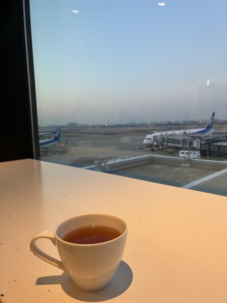 ANAラウンジの窓から駐機中の飛行機を眺めながら置かれた紅茶のカップ