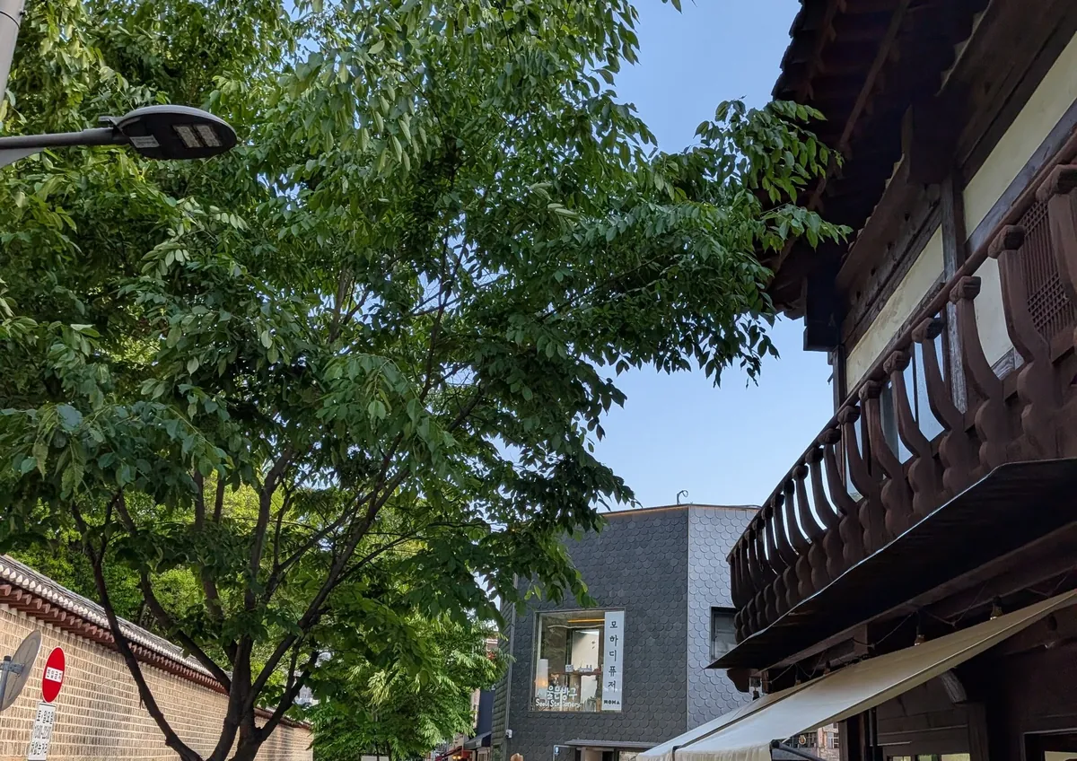 宗廟の帰り道、壁沿いに続くおしゃれなカフェ通り。韓屋とモダン建築が混じる街並み