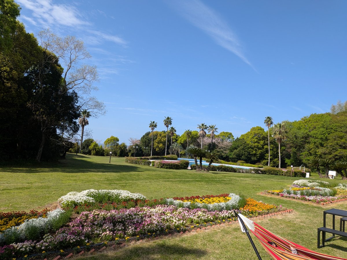 広い庭園とプール